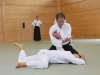 aikido-verbandslehrgang-oeav-budokan-wels-2013-209