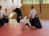 aikido-danpruefung-wels-2015-05-2016-3258